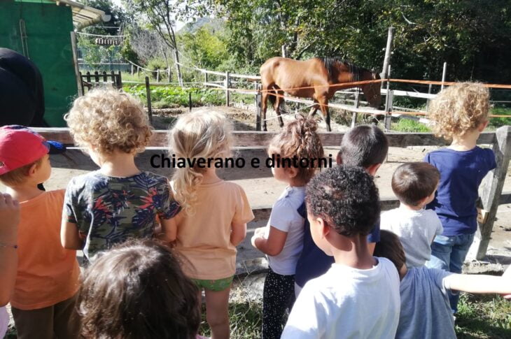 Chiaverano e dintorni