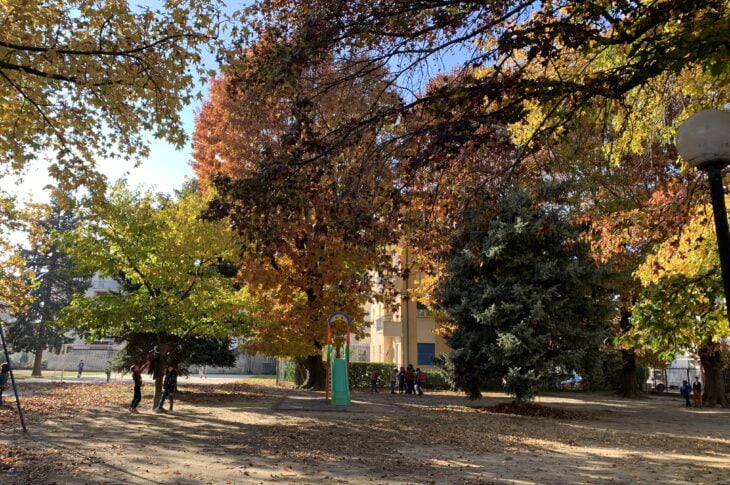Foto 9 - il nostro cortile