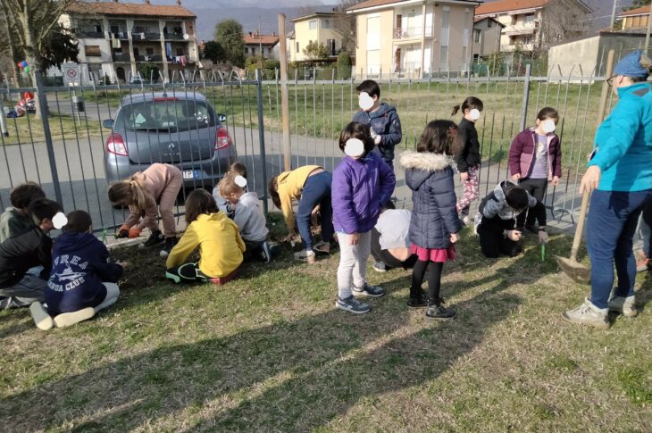 Orto