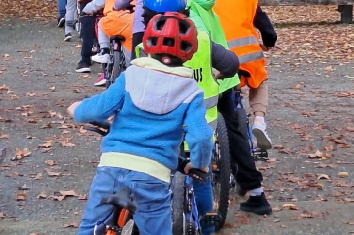 II lezione pratica